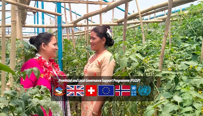 Read Innovative Partnership Fund: Cultivating ideas, bridging governments by UNDP Nepal