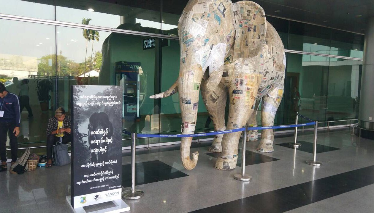 Read ရန္ကုန္ေလဆိပ္သို႔ မိုမိုတို႔ခ်ီတက္ by VOICES FOR WILDLIFE
