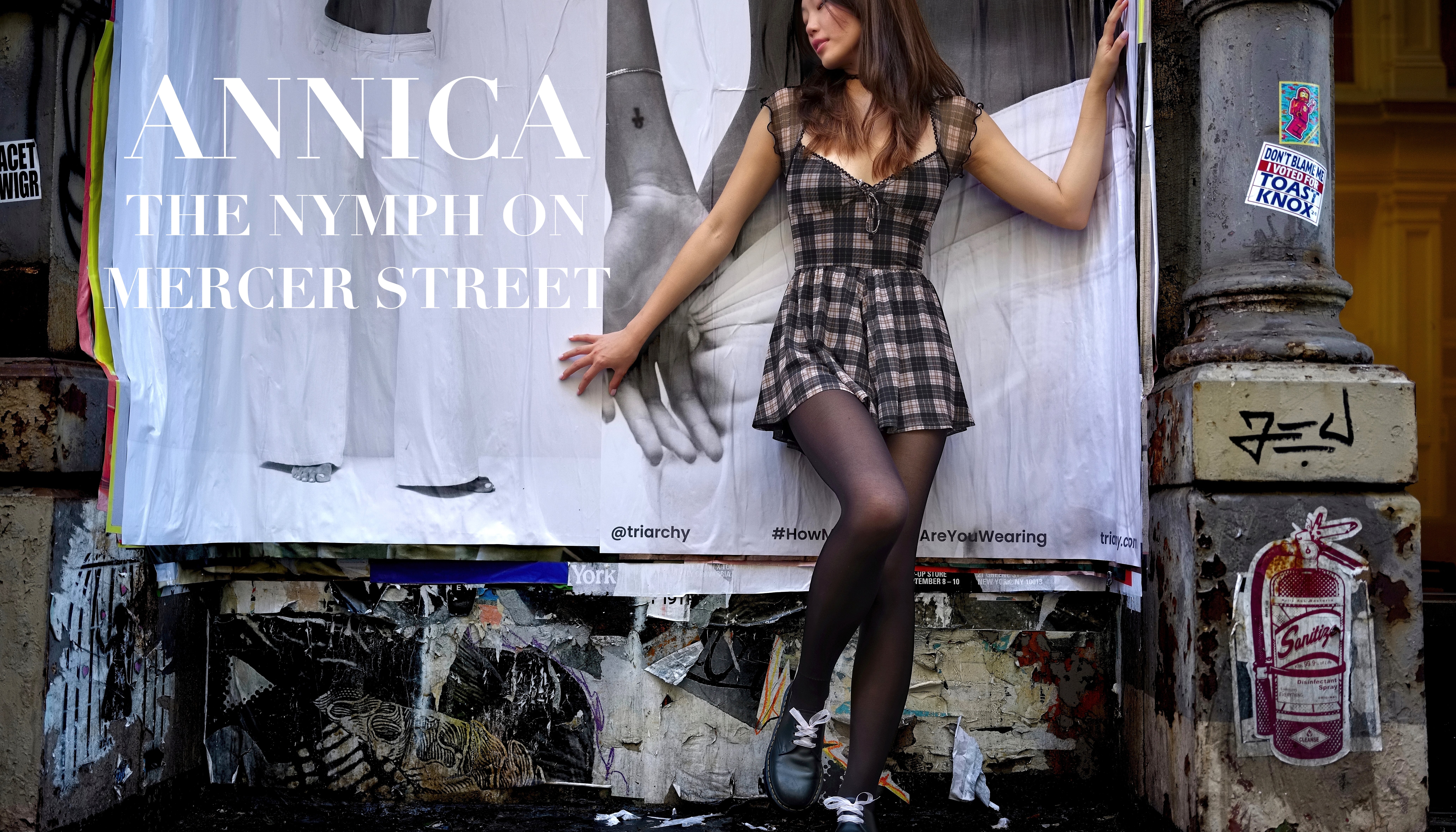 Read ANNICA by Tewfic El-Sawy