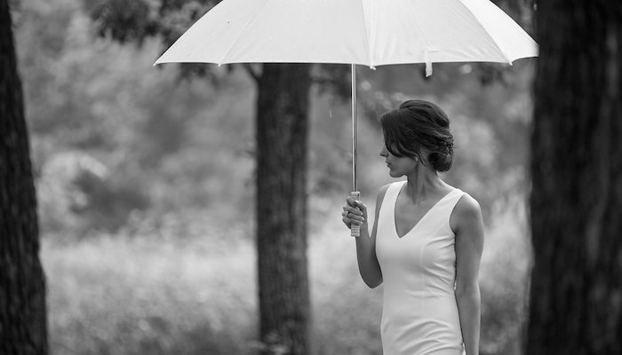 Read Windmill Wedding by Steena Woo