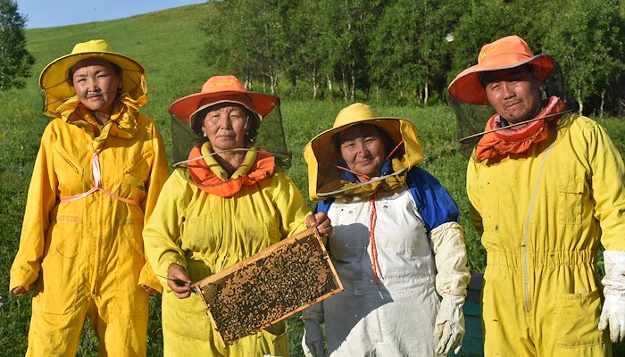 Read Organic wildflower honey cultivates sweet success for Mongolian beekeepers by Mountain Partnership