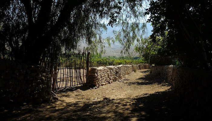 Read caravelí by Xavier Conesa