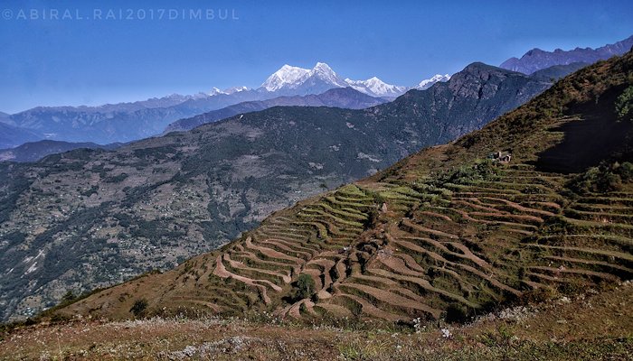 Read 3 years of nepal earthquake by dZi Foundation
