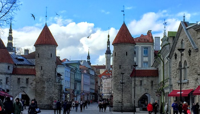 Read Tallinn, Estonia by Necdet Becerik