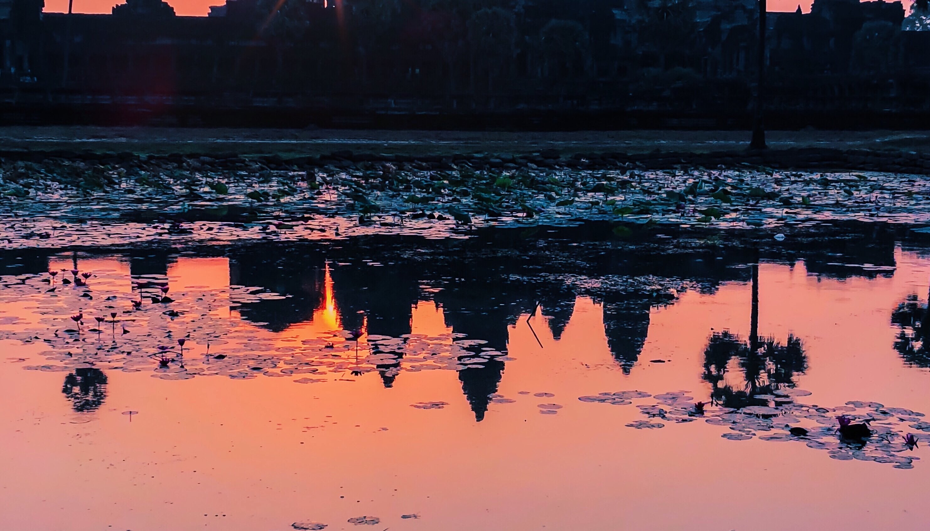 Read 5 Days in Cambodia by David C.