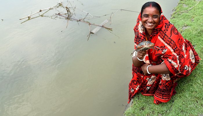 Read GENDER RESPONSIVE CLIMATE CHANGE ADAPTATION by UNDP Bangladesh