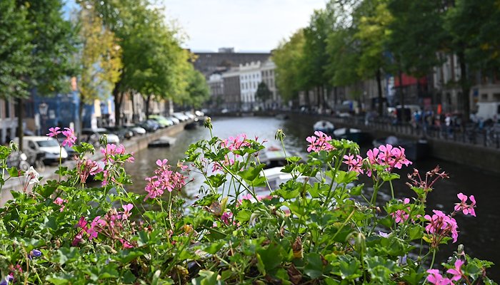 Read Amsterdam and Broek in Waterland by Hector Gonzalez