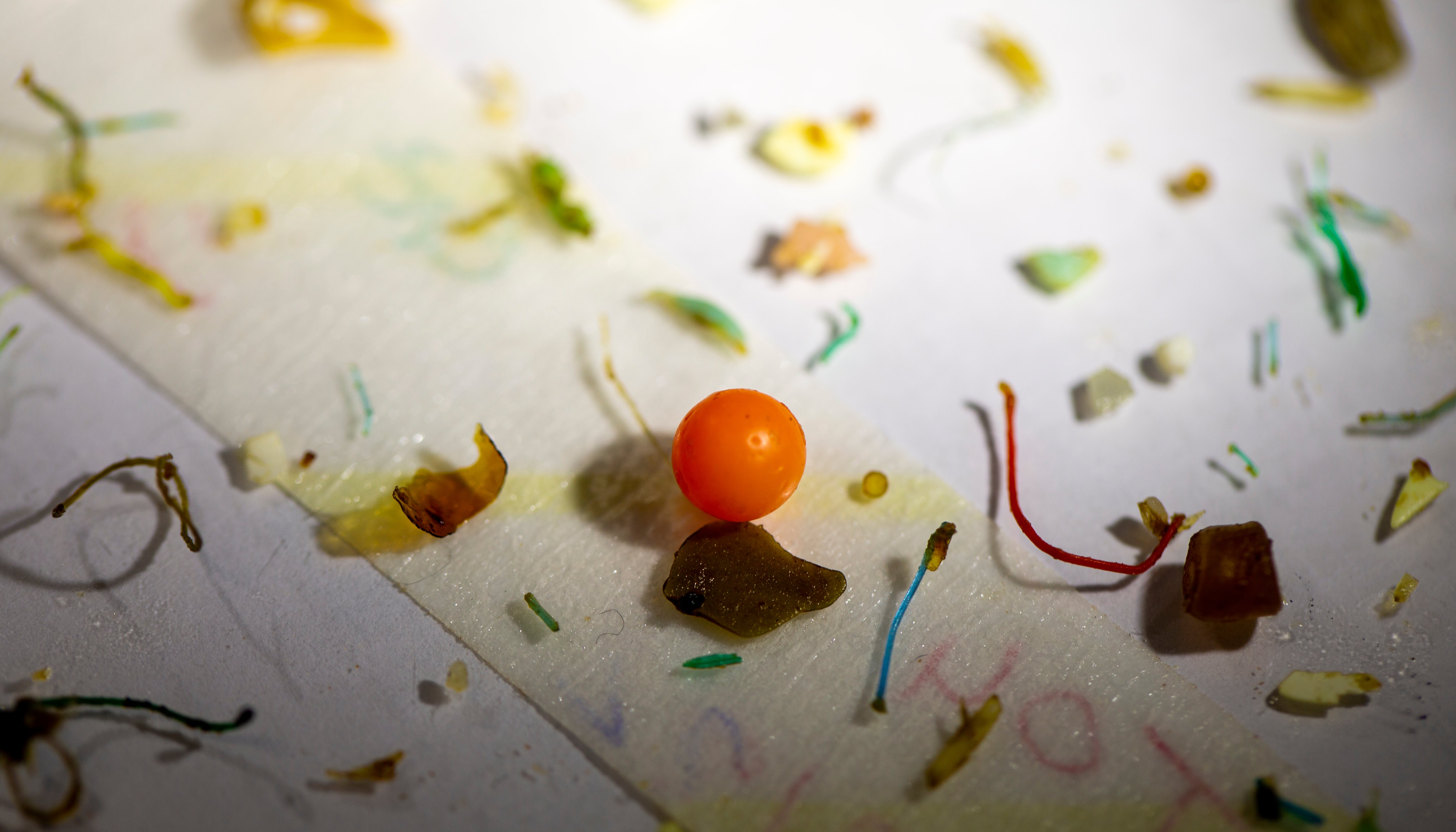 Read Science needs to be the foundation of the new Plastics Treaty by GRID-Arendal