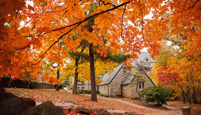 Read Autumn wonderland by James Brosher