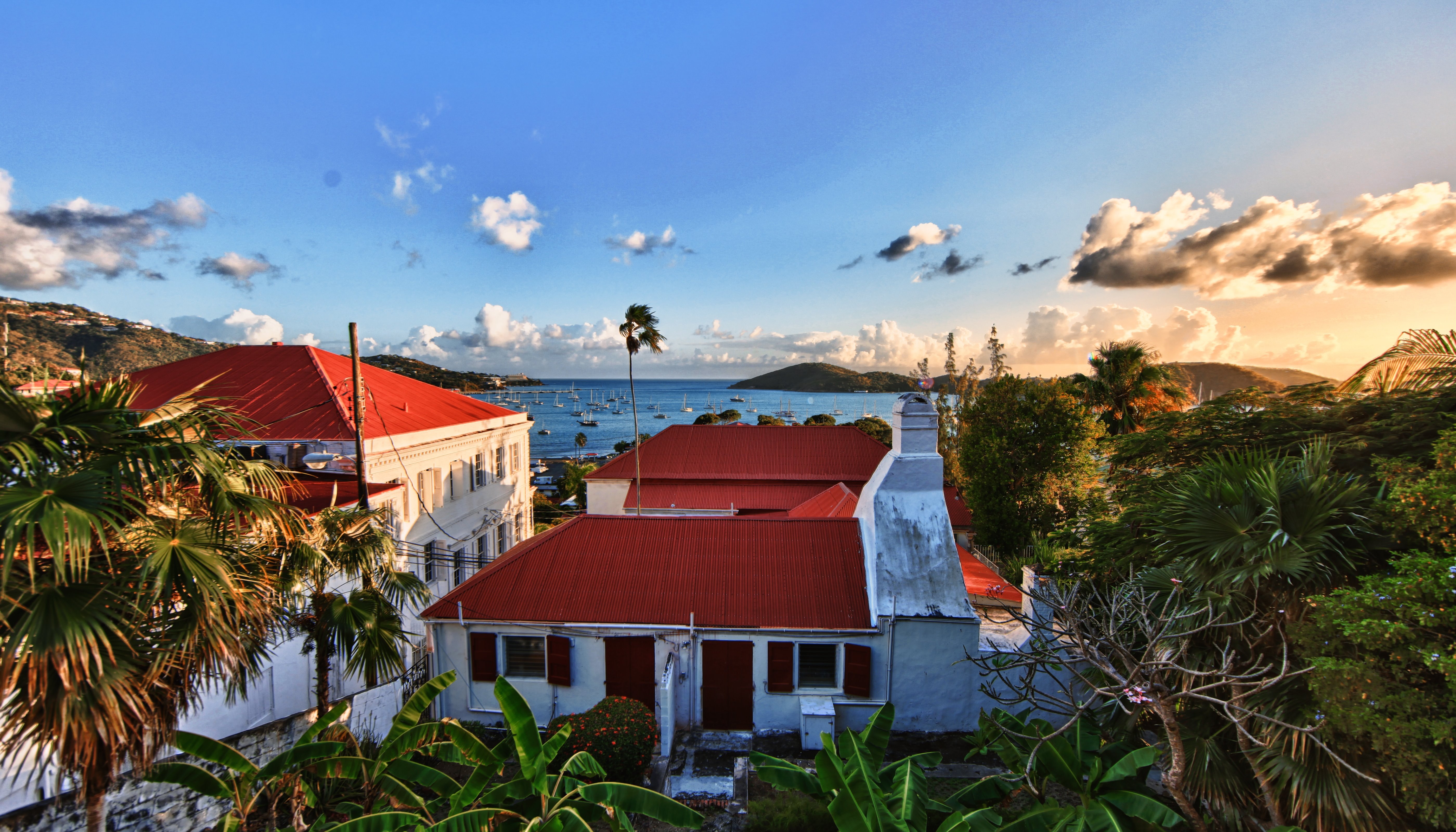 Read The Virgin Islands by Michael Flarup