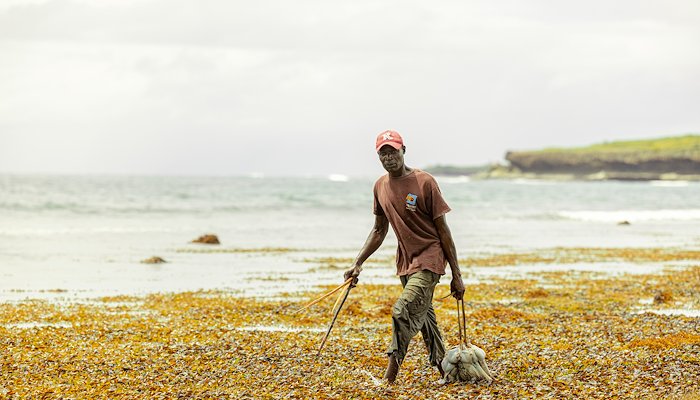 Read Lessons from Kenya's octopus fishery closure success story by Blue Ventures