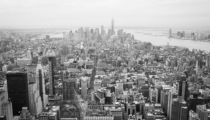 Read New York, New York by Bosley Jarrett