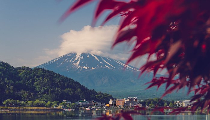 Read FOOD & FUJI by Where We Wander