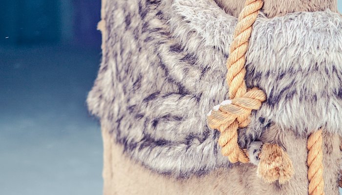 Read SLEEPING ON ICE by Where We Wander