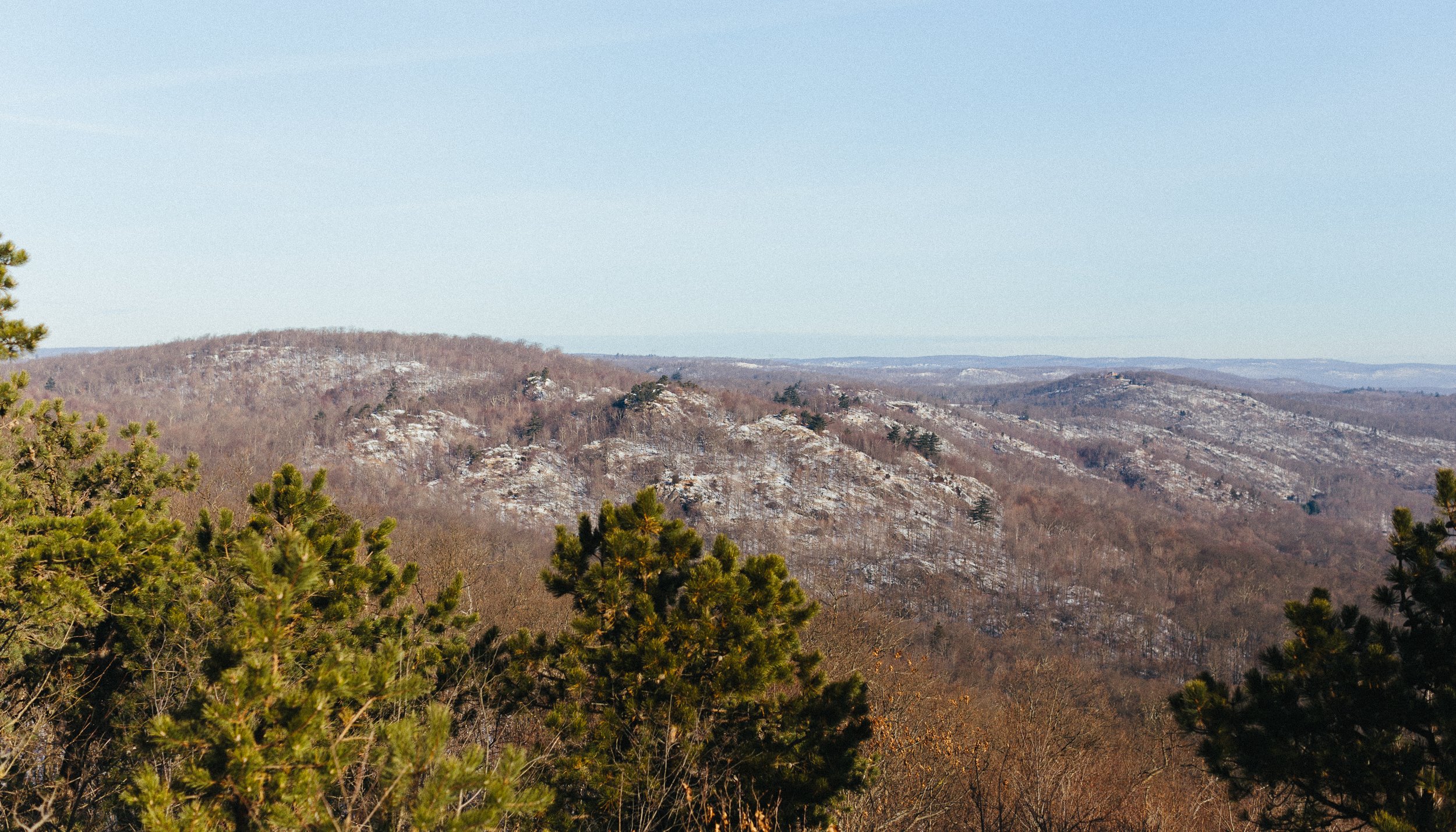 Read THE BILL MURRAY BACKYARD ULTRA by Matthew Novak