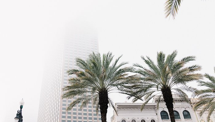 Read The last hurrah in nola by Heather Horgen