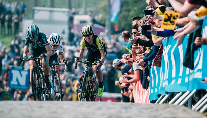 Read Ronde Van Vlaanderen 2019 by Tornanti .cc