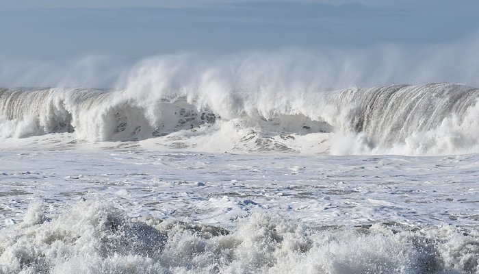 Read Ventura's Winter Waves by Fiona Aulenta