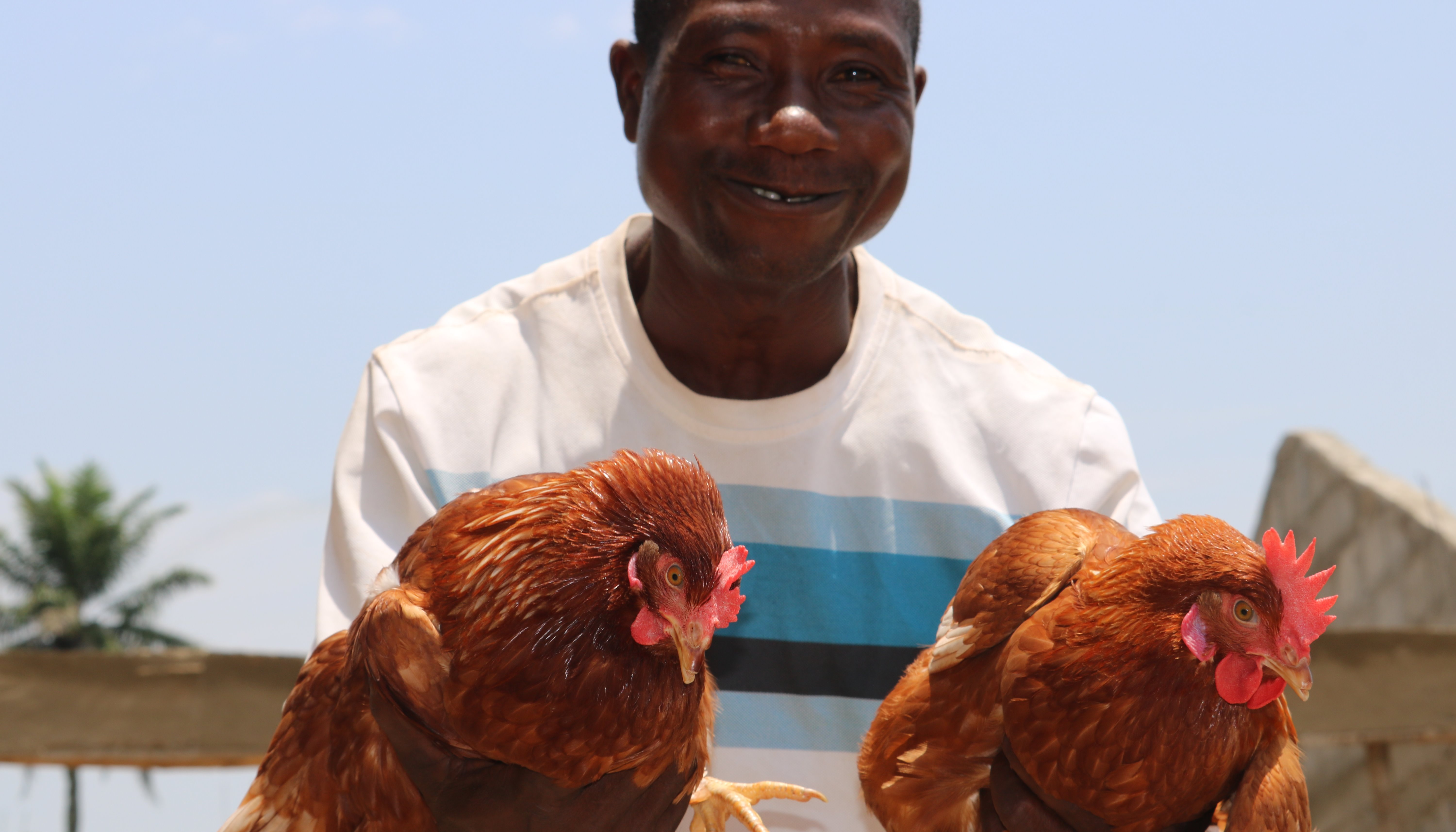 Read FROM HUNTING ELUSIVE GEMS TO expanding an AGRIBUSINESS – TAMBA’S  STORY by United Nations Sierra Leone