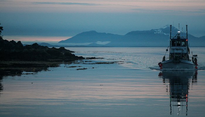 Read Alaska Fishing by Jenessa Johnson