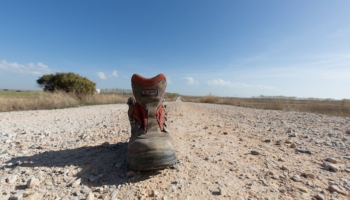 Read Camino de Santiago by Fritz Nordengren
