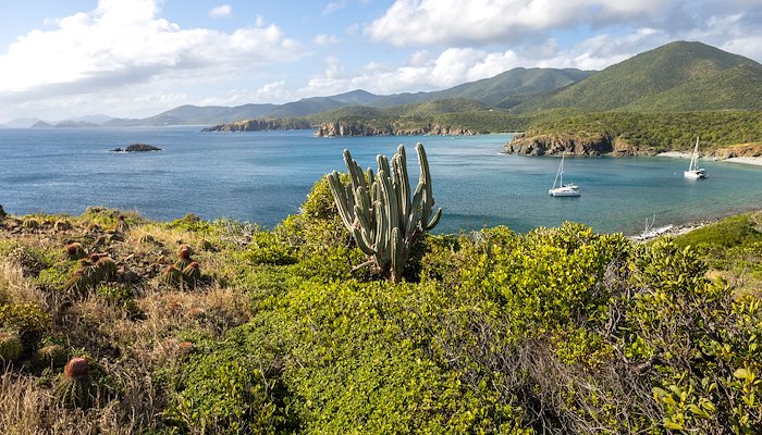 Read Virgin Islands National Park by Scott Richardson