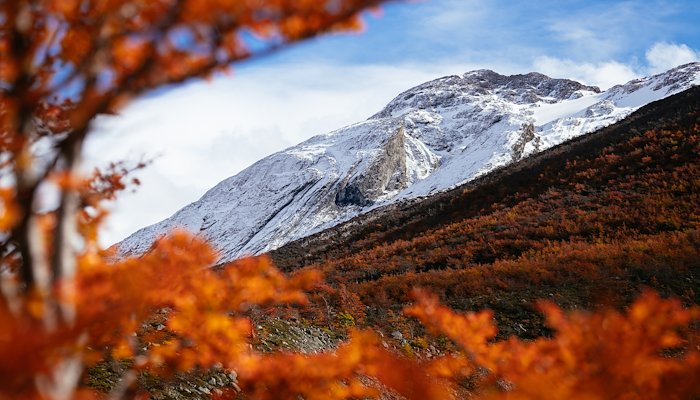 Read AUTUMN in PATAGONIA by Chris C
