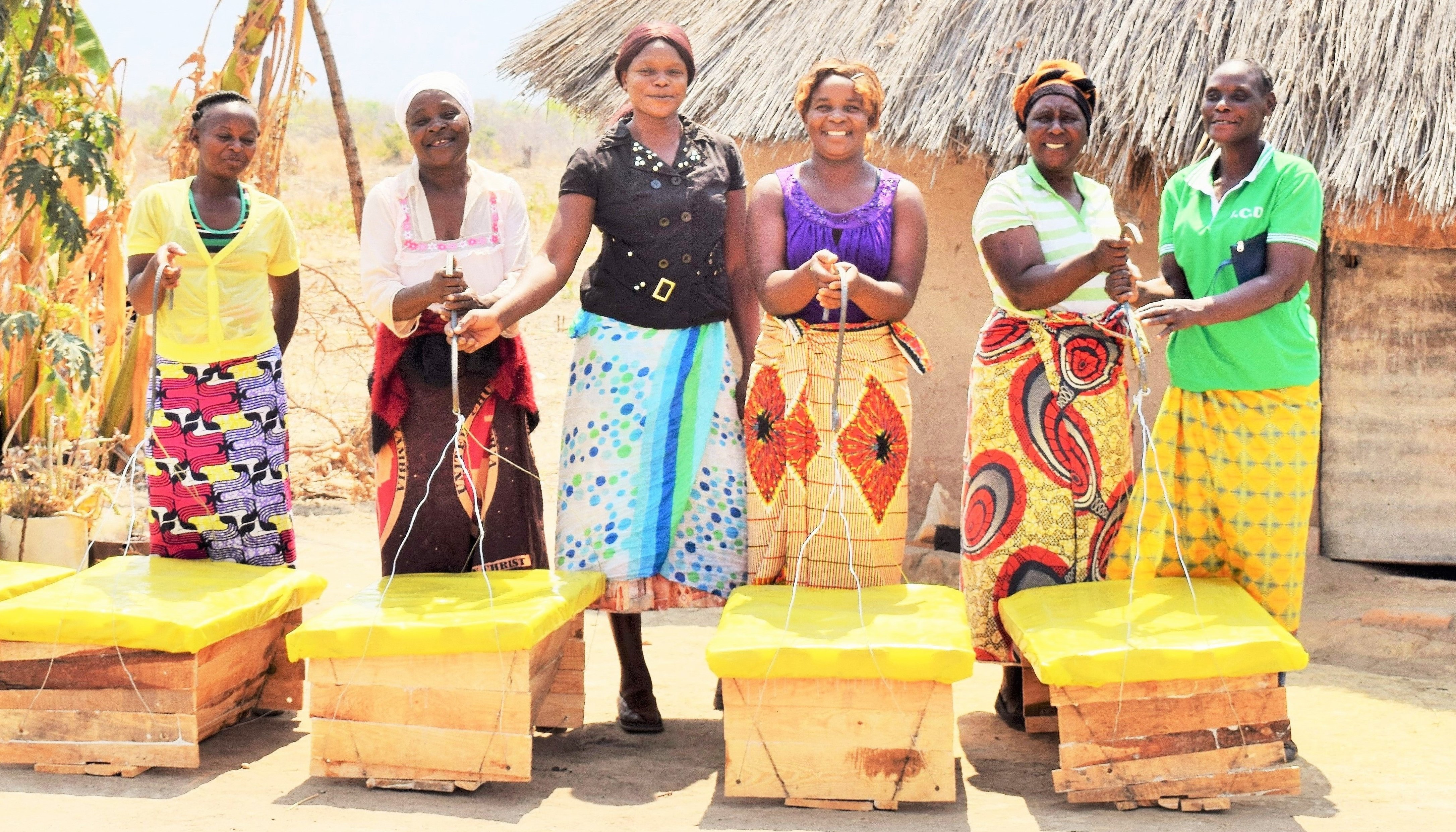 Read SHELTER IN A changing climate by Moses Zangar, Jr.