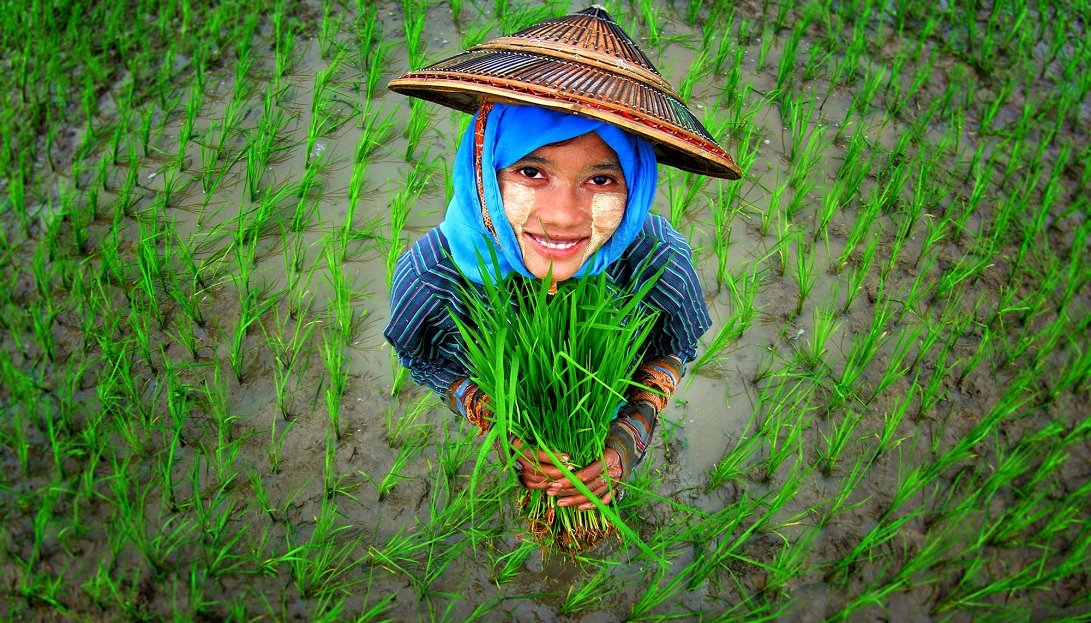 Read international day of rural women 2019 by CGIAR GENDER Platform