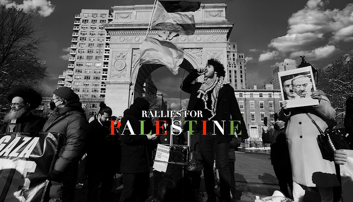 Read Palestine Rallies by Tewfic El-Sawy