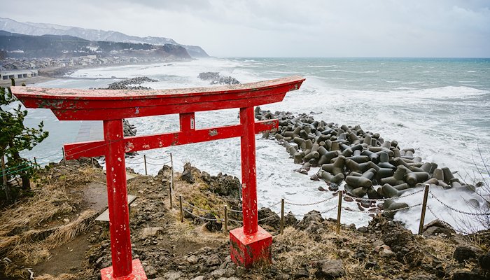 Read JAPAN 2024 by Chris Neilson