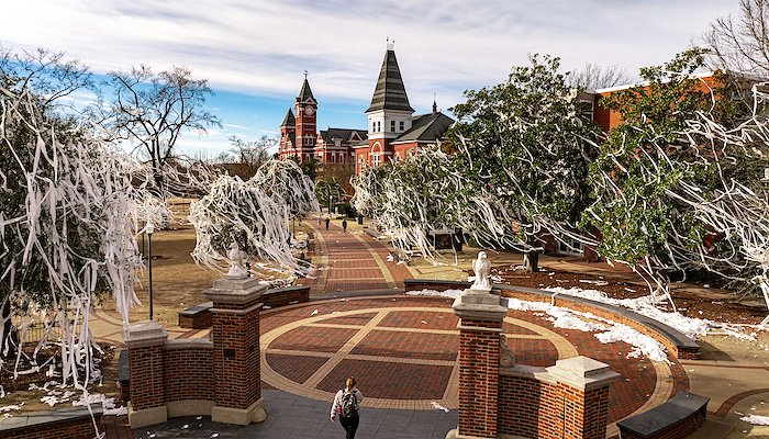 Read A Look Back at February 2024 by Auburn Photo