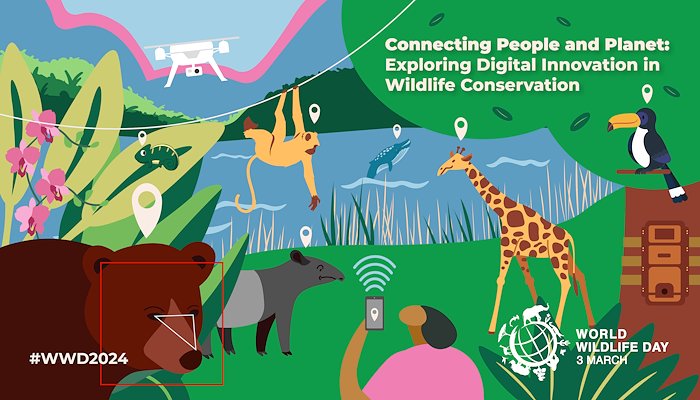Read Digital Innovation and Wildlife Conservation&nbsp; by Clean Coasts