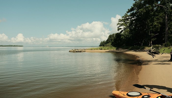 Read Kayaking around jamestowne island by Timothy Nargi