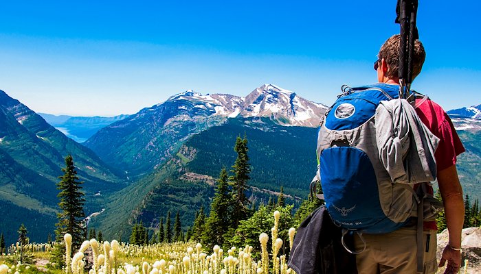 Read Hiking Glacier's Best Loop by Elizabeth Vestal