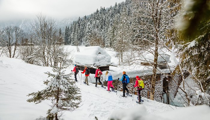 Read Back to the roots in Ruhpolding: Finding your inner balance in the winter woods by Nick Russill