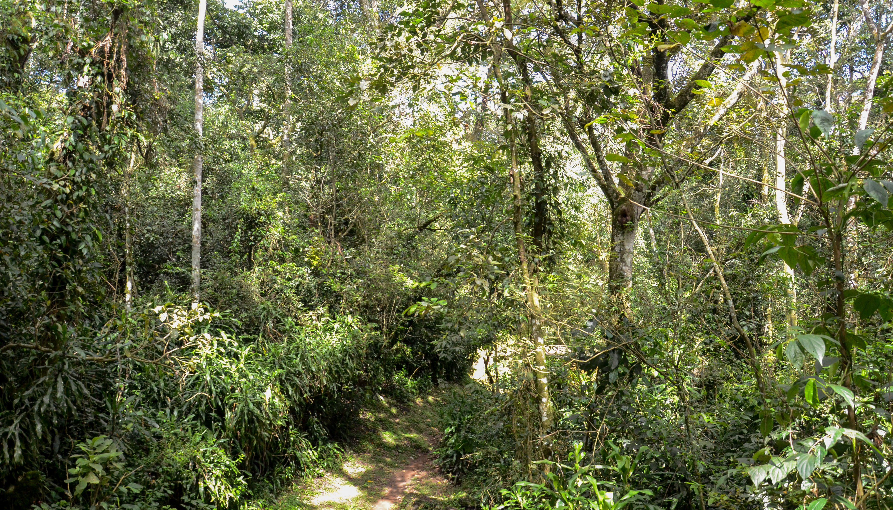 Read HARNESSING AND PROTECTING GENETIC HERITAGE TO BUILD RESILIENT COMMUNITIES by UNDP Kenya