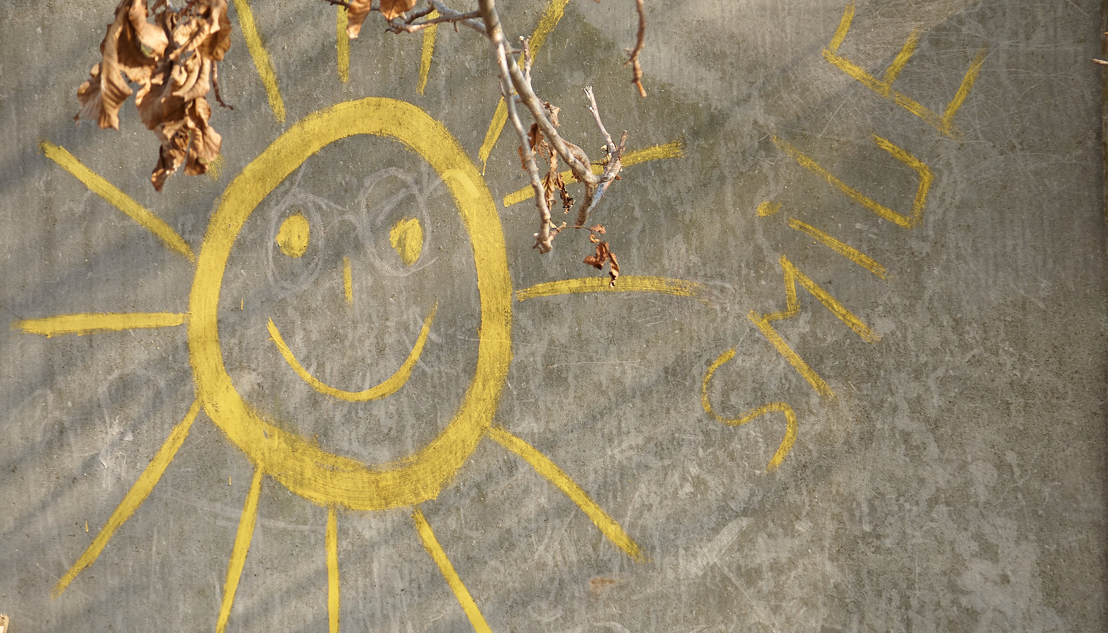 Read Din conul de umbră by UNDP Moldova