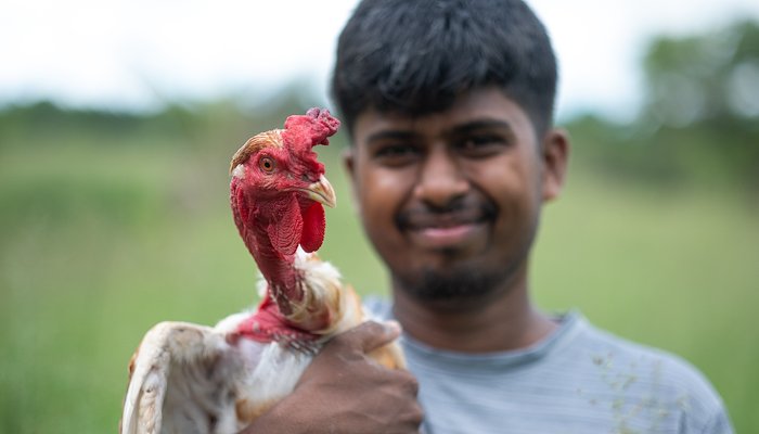Read The undergraduate backyard-poultry farmer by UNDP Sri Lanka