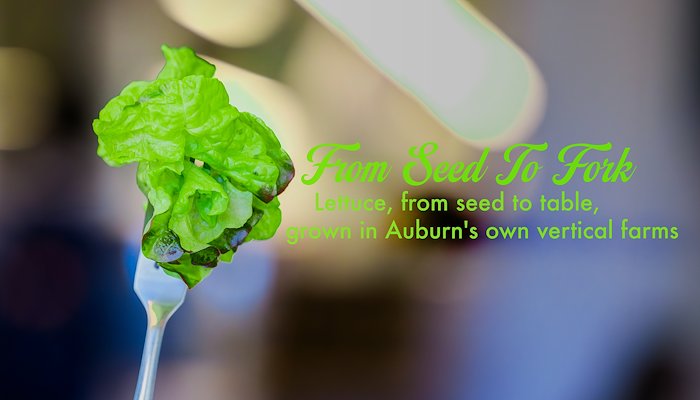 Read From Seed To Fork by Auburn Photo