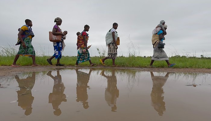 Read THE COMMUNITIES AT THE HEART OF MALARIA PREVENTION IN MOZAMBIQUE by Momcilo Orlovic