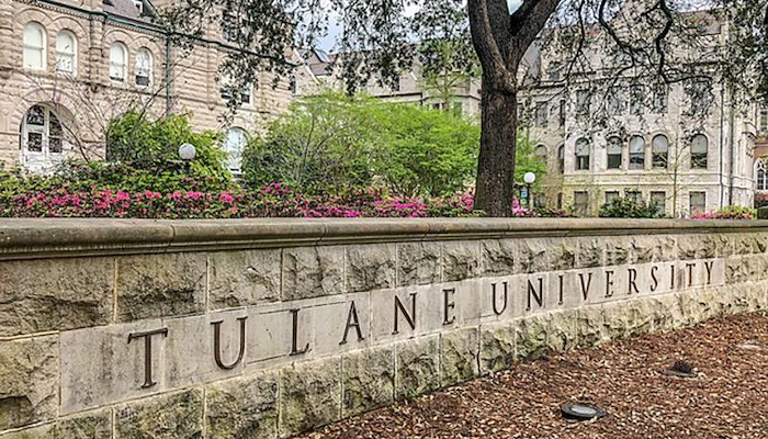 Read True Love at Tulane by Tulane Alumni