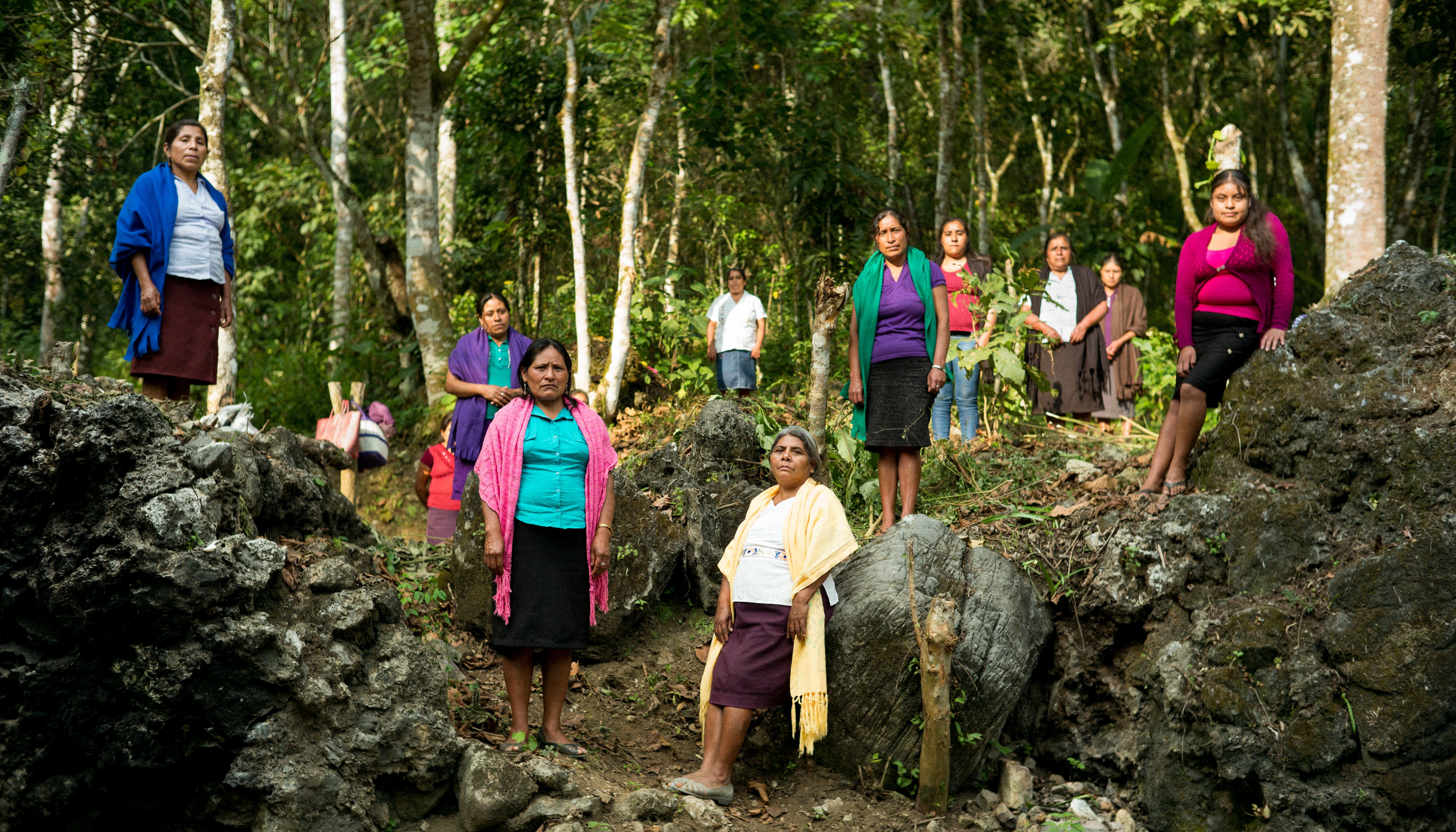 Read Seeds of change by WWF