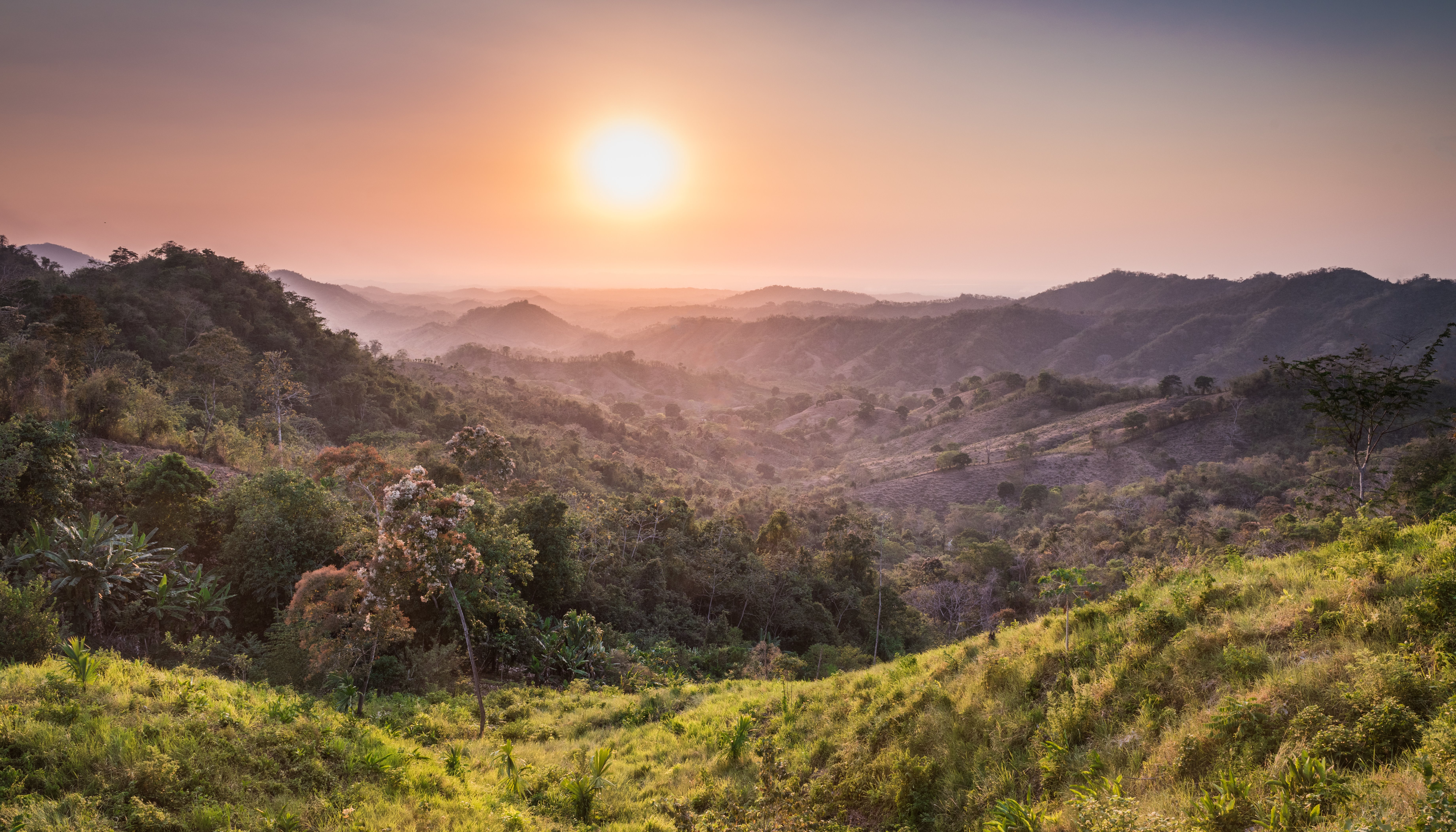 Read La importancia de los bosques by PNUD en América Latina y el Caribe