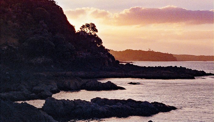 Read New Zealand by Sjoerd Van Rijen