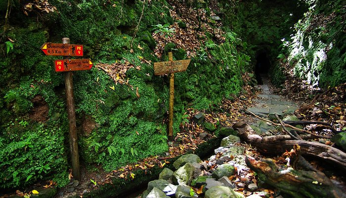 Read Hiking Madeira by Northern Adventures