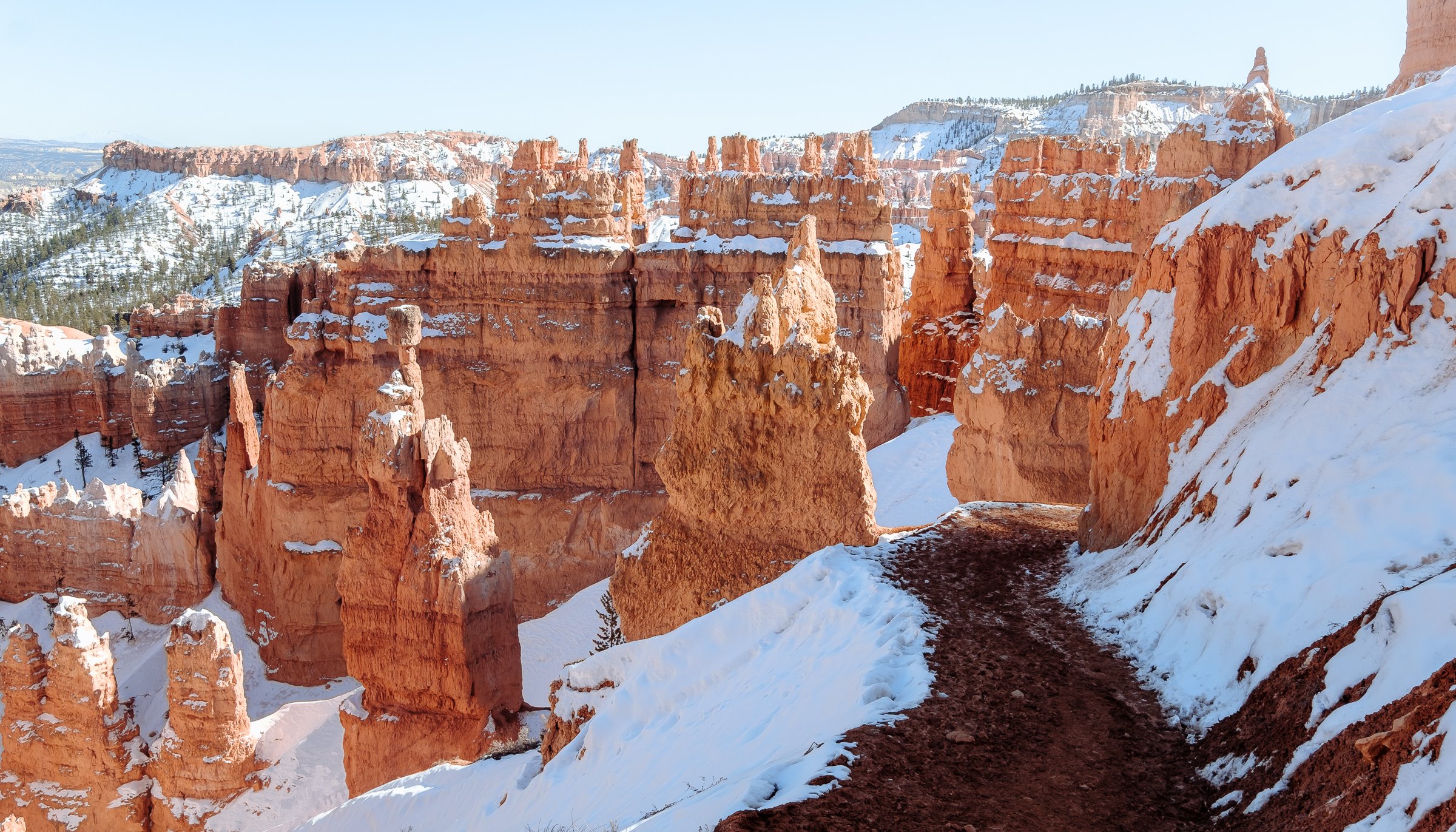 Read Bryce Canyon by Scott Medway