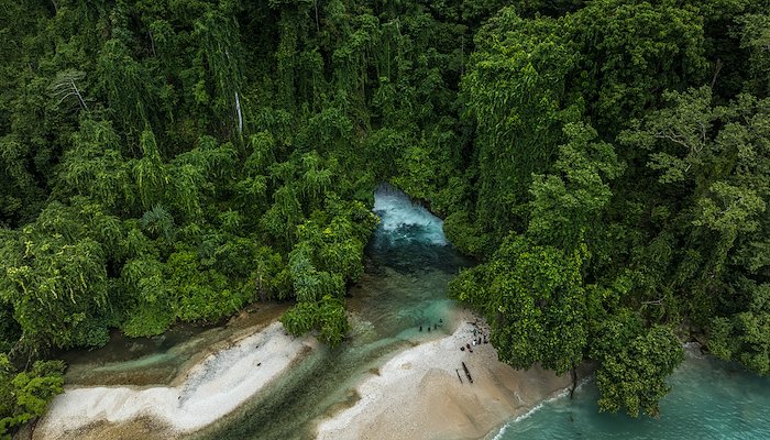 Read "LAND IS LIFE AND LIFE IS LAND" by WWF Asia-Pacific