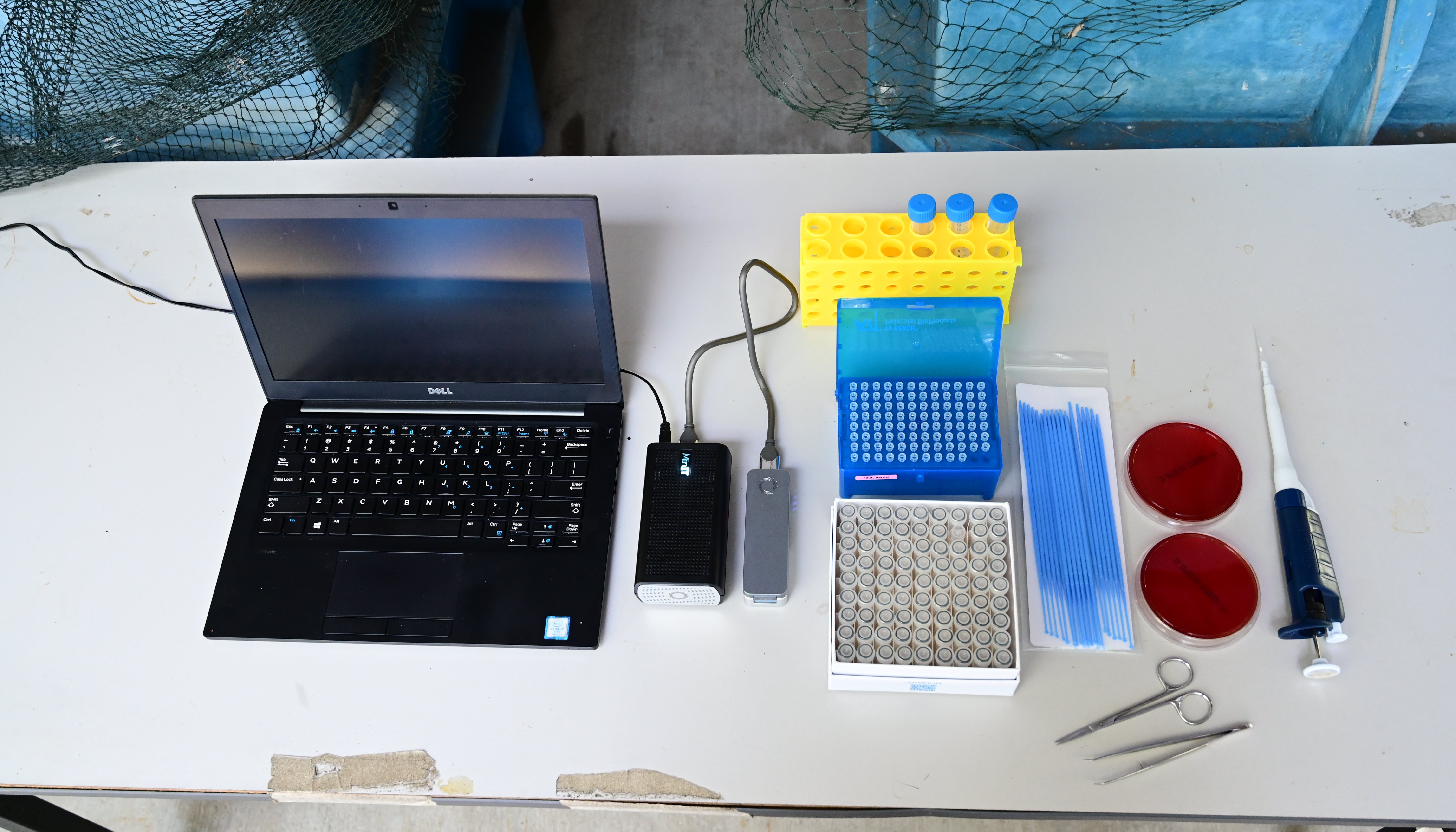 Read Rapid Genomic Detection by World Fish