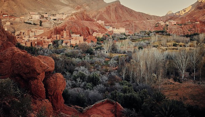 Read The Moroccan Land by Patrizia Bellotti